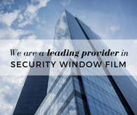 Pet Film - Safety and Security Film - BS-P005