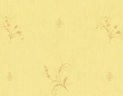 Self Adhesive Film - Printed Self Adhesive Film - BS-4403-2