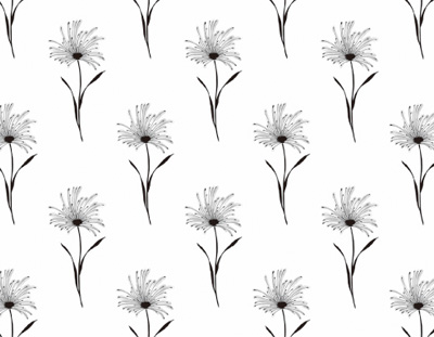 Self Adhesive Film - Printed Self Adhesive Film - BS-4414-3
