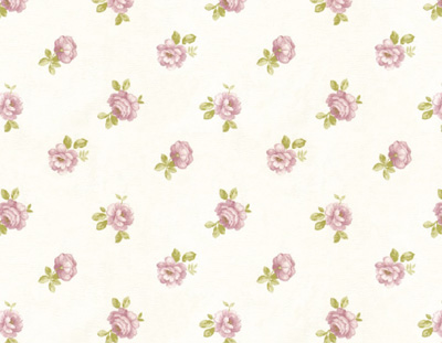Self Adhesive Film - Printed Self Adhesive Film - BS-4428-2
