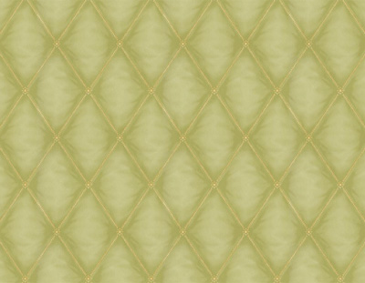 Self Adhesive Film - Printed Self Adhesive Film - BS-4556-3