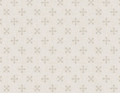 Self Adhesive Film - Printed Self Adhesive Film - BS-4550-2