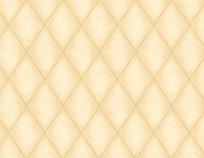 Self Adhesive Film - Printed Self Adhesive Film - BS-4556-2