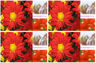 Table Cover - Printed Table Cover - Europe Design Table Cover - TL115