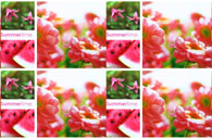 Table Cover - Printed Table Cover - Europe Design Table Cover - TL117